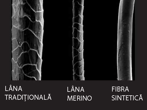 Fibre de lana